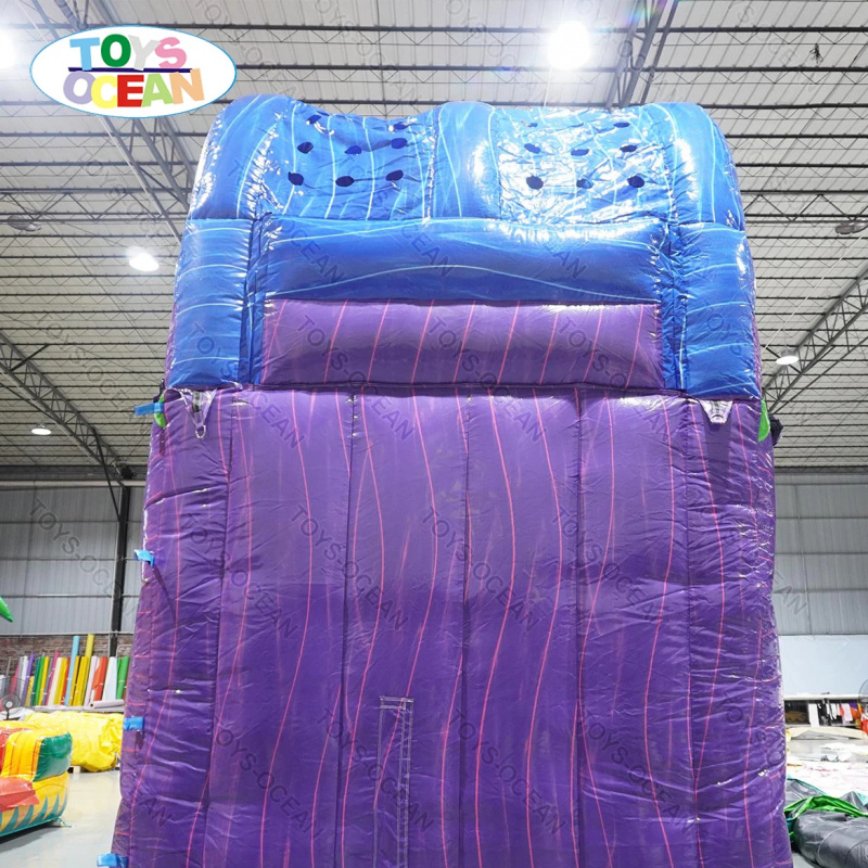 Commercial Backyard Slide Rent - Water Slide Inflatable recension och pris